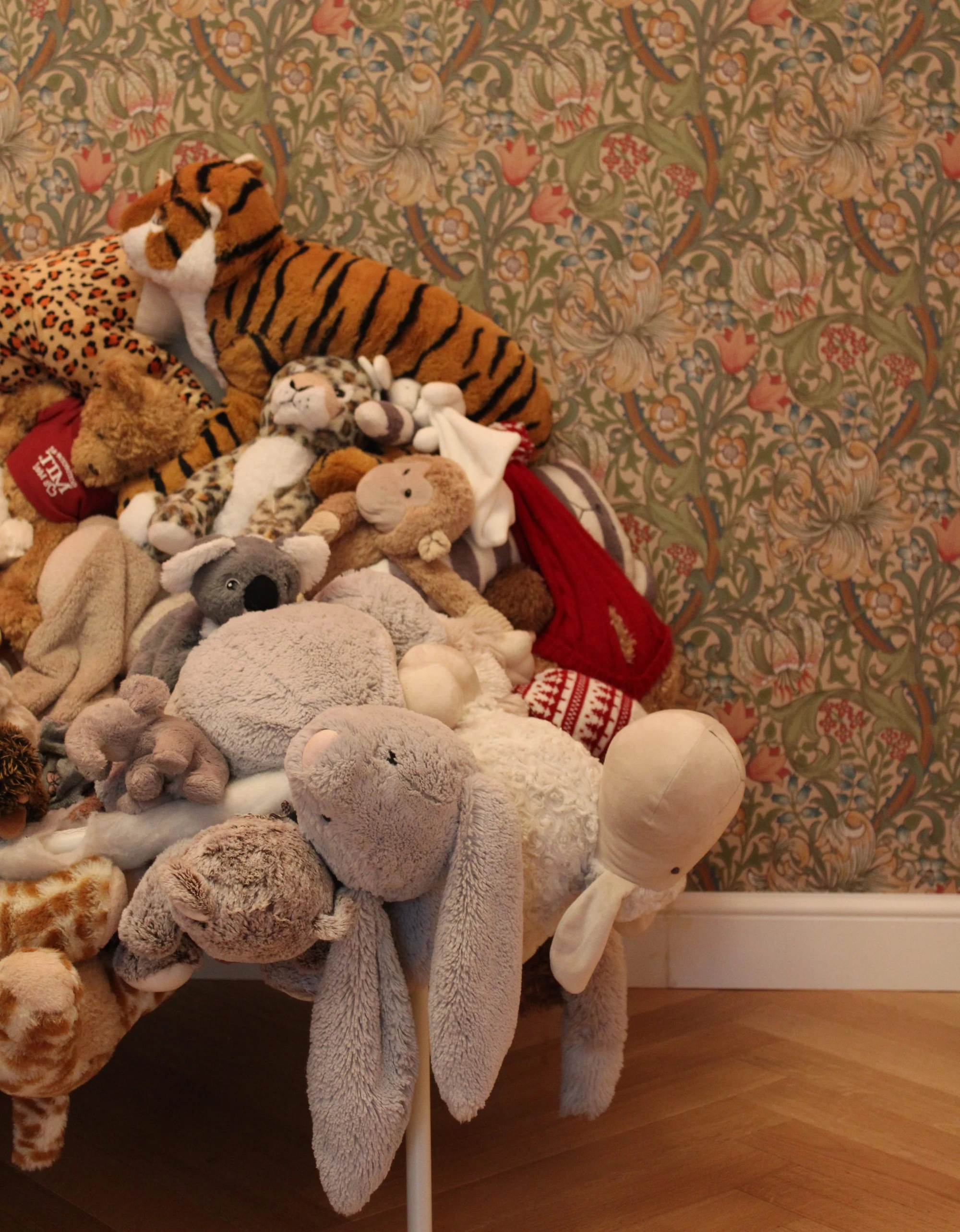 Belardi — foto 4